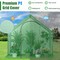 Green PE-Coated Metal Walk-In Warm Greenhouse with Roll-Up Door and Ventilation